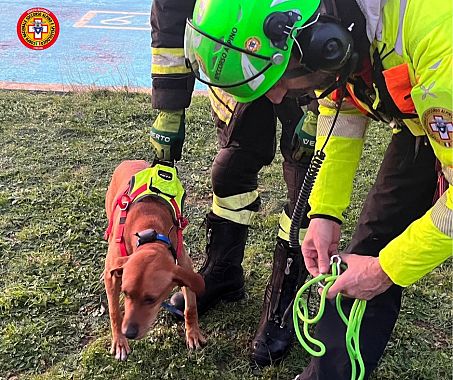 Il cane soccorso al suo arrivo alla base di Cinquale