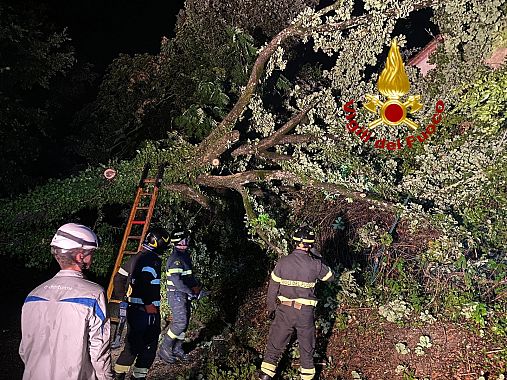 L'intervento dei vigili del fuoco ed Enel a Barberino Val d'Elsa