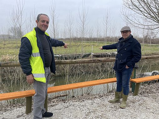 Piante di gaggìa nel Padule di Fucecchio indicate da Ventavoli e dal dottore forestale Michele Giunti